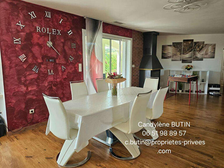 House Félines-Minervois - 4 bedrooms