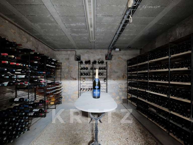 Maison Férolles-Attilly - 5 chambres - 333m²