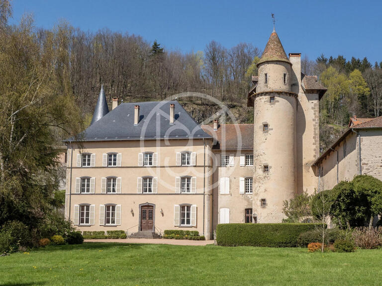 Vente Château Ferrières-sur-Sichon - 14 chambres