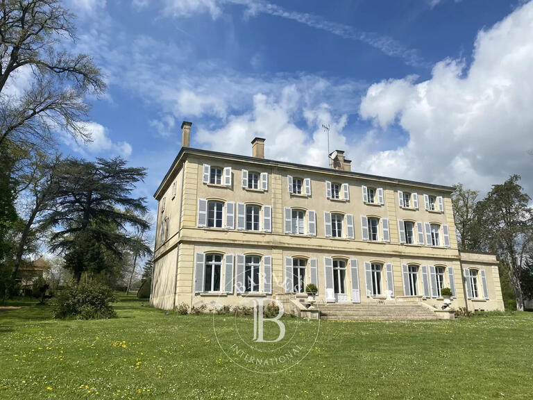 Sale Castle Feurs - 5 bedrooms