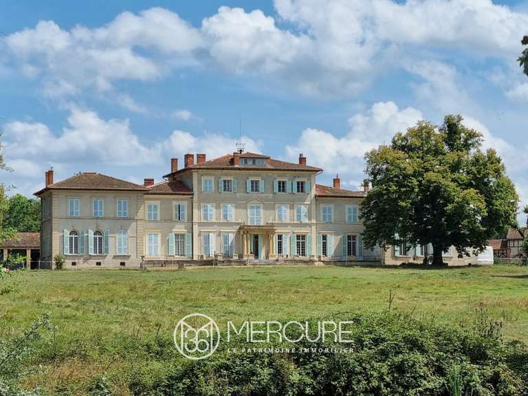 Château Feurs - 18 chambres - 1191m²