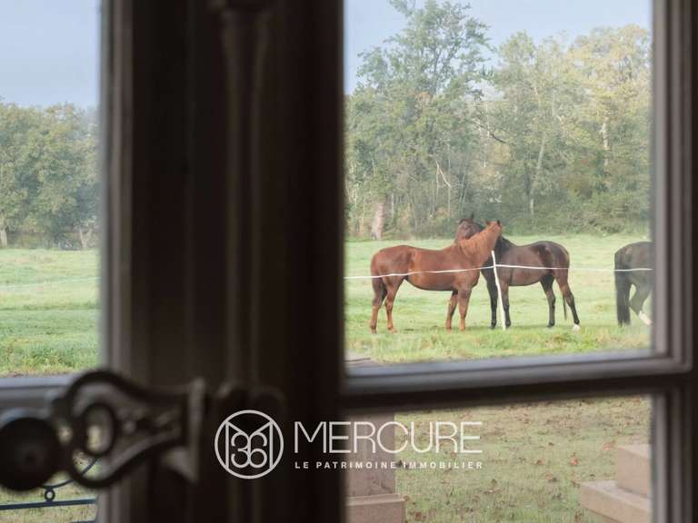 Château Feurs - 18 chambres - 1191m²