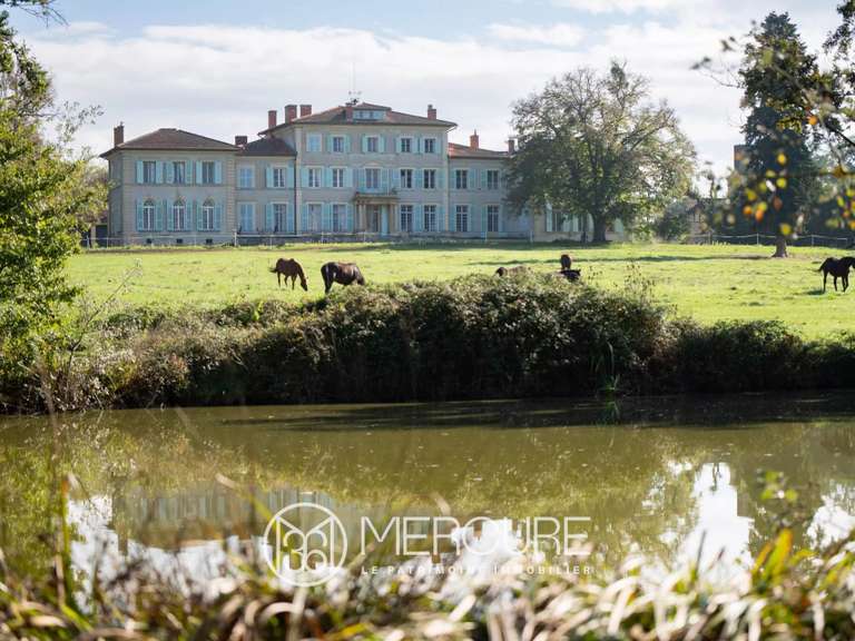 Château Feurs - 18 chambres - 1191m²