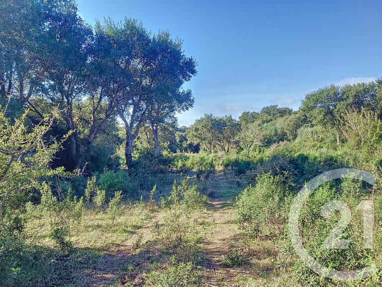 Land Figari - 12588m²