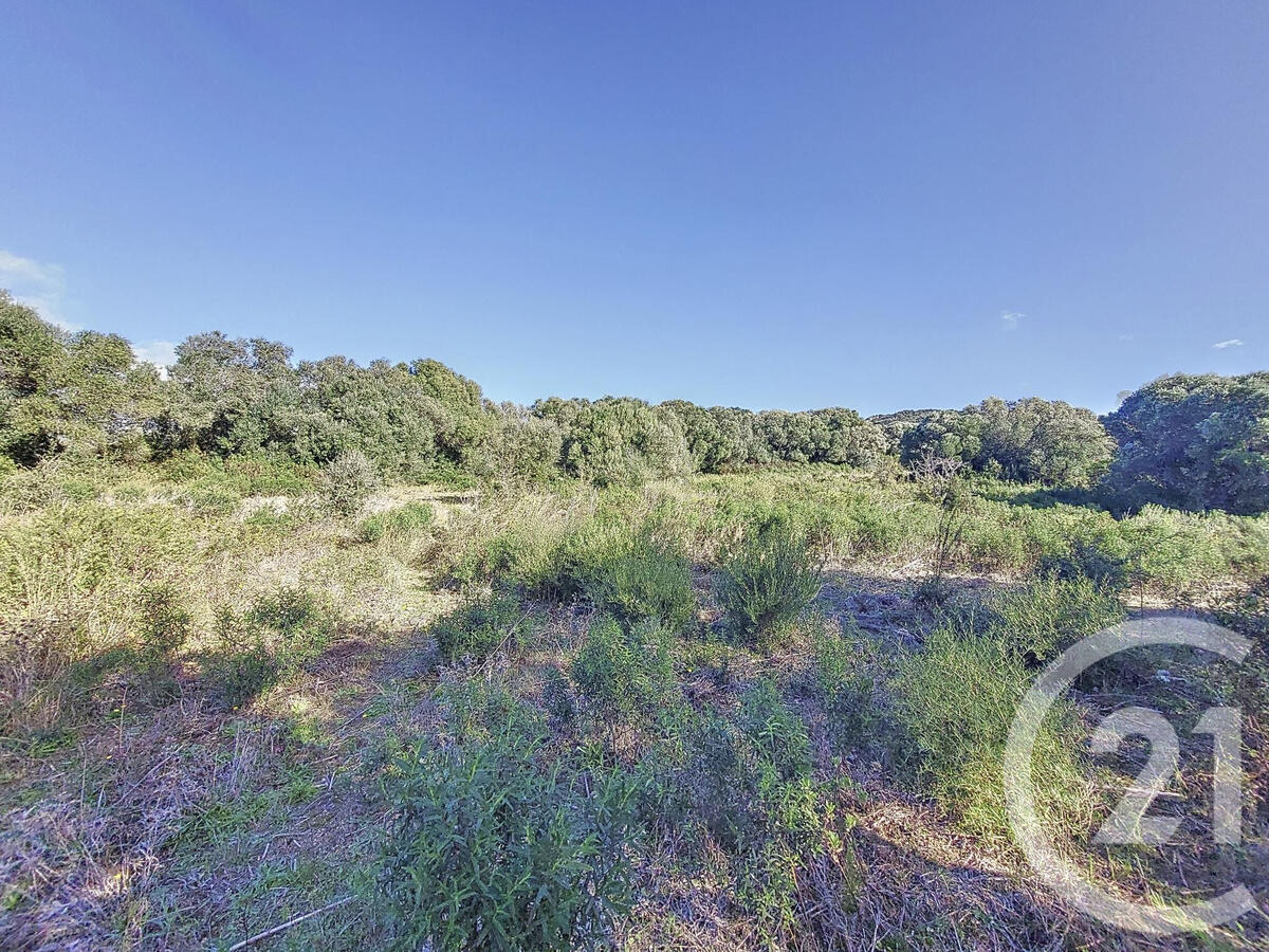 Land Figari