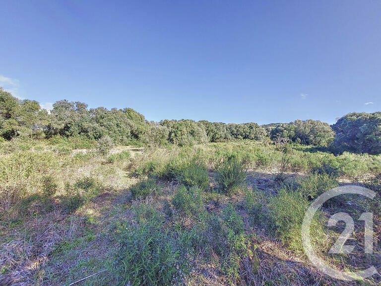 Land Figari - 12588m²