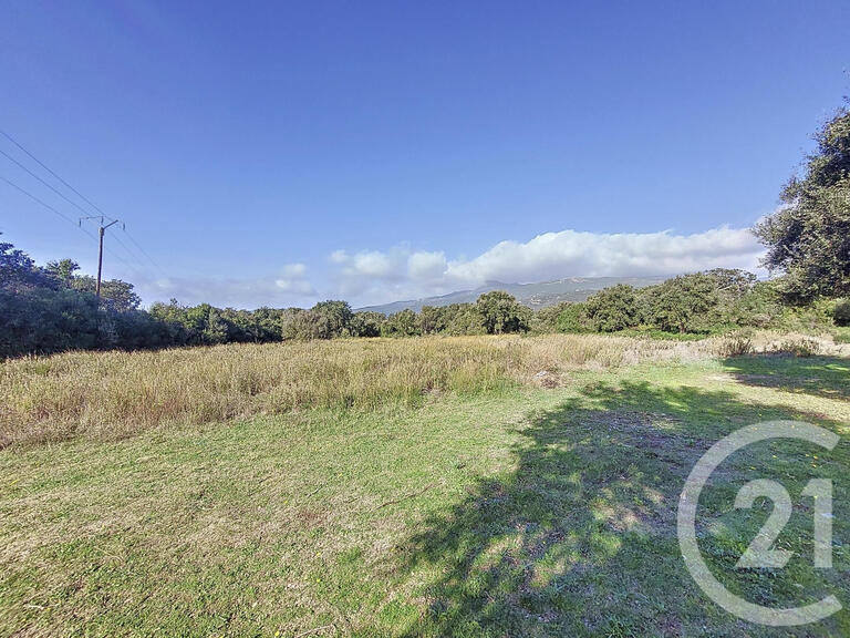 Land Figari - 12588m²