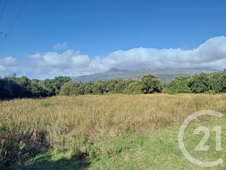 Land Figari - 12588m²