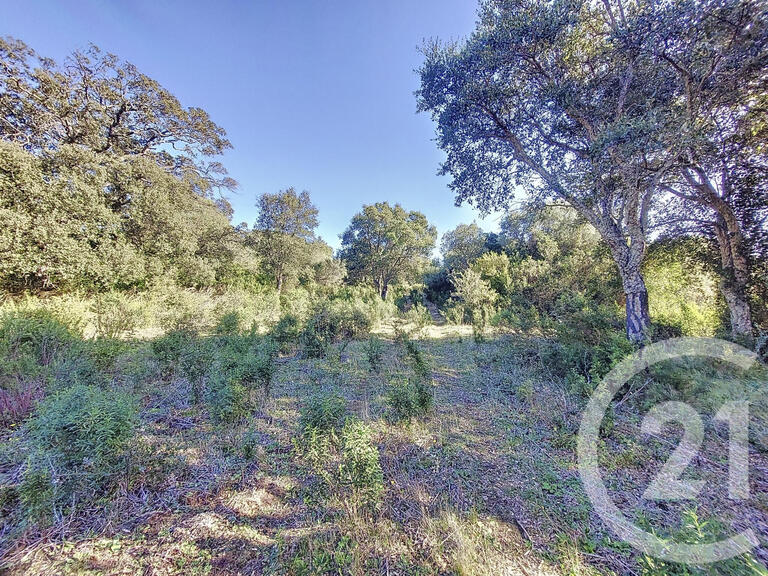 Land Figari - 12588m²