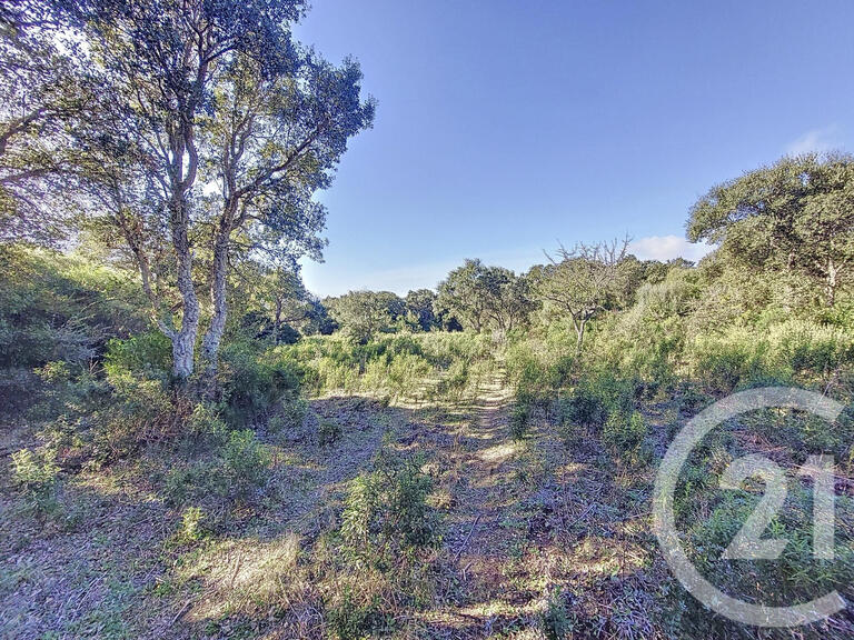 Land Figari - 12588m²