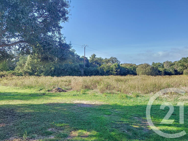 Land Figari - 12588m²
