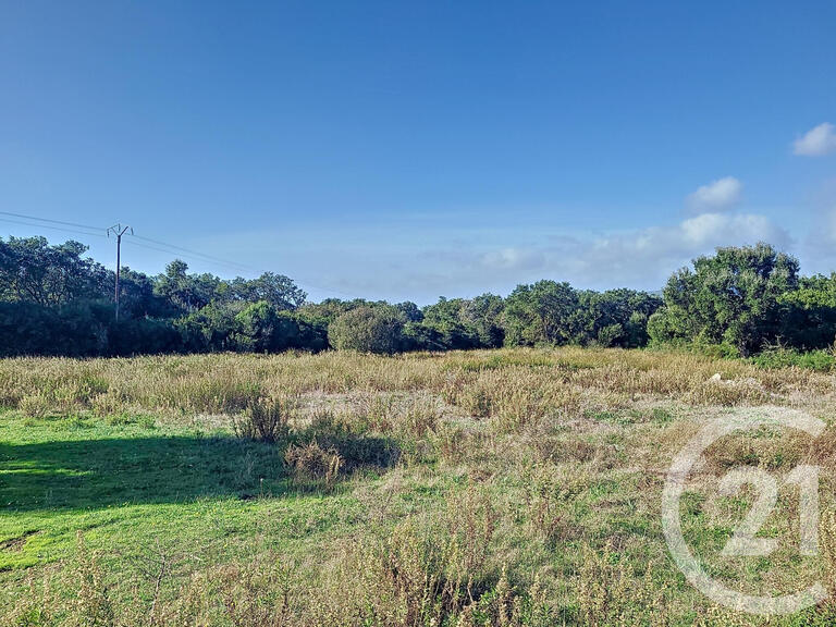 Land Figari - 12588m²
