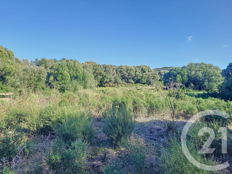Land Figari - 12588m²