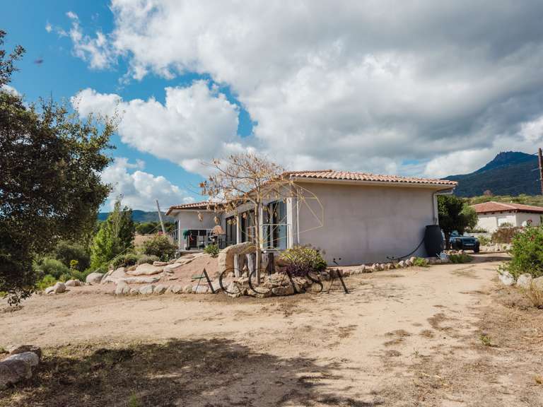 Villa Figari - 3 bedrooms - 204m²