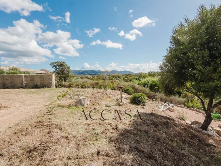 Villa Figari - 3 bedrooms - 204m²