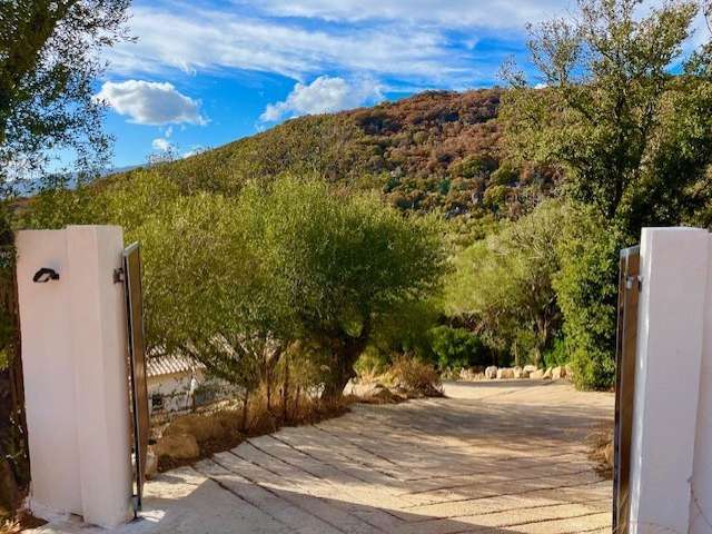 Villa Figari - 5 chambres - 204m²