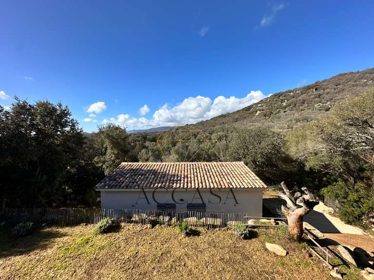 Villa Figari - 5 chambres - 204m²