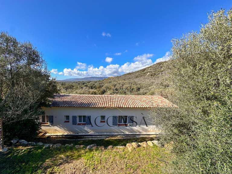 Villa Figari - 5 chambres - 204m²