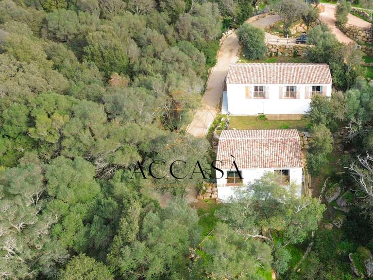 Villa Figari - 5 chambres - 204m²