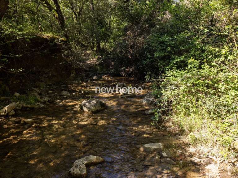 Maison Flayosc - 3 chambres - 122m²