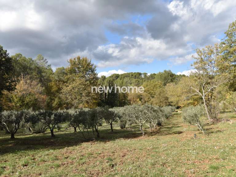 Maison Flayosc - 4 chambres - 263m²