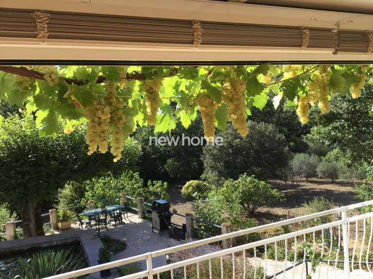 Maison Flayosc - 4 chambres - 263m²