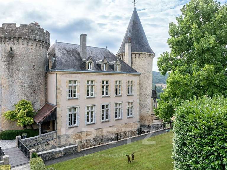 Château Fleurac - 23 chambres - 2700m²