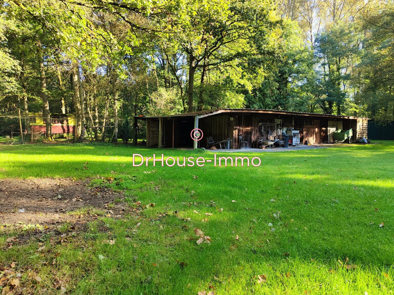 Villa Flines-lès-Mortagne - 4 chambres - 222m²