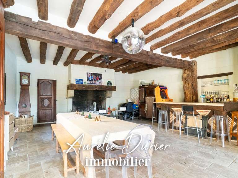 Maison Fondettes - 7 chambres - 401m²