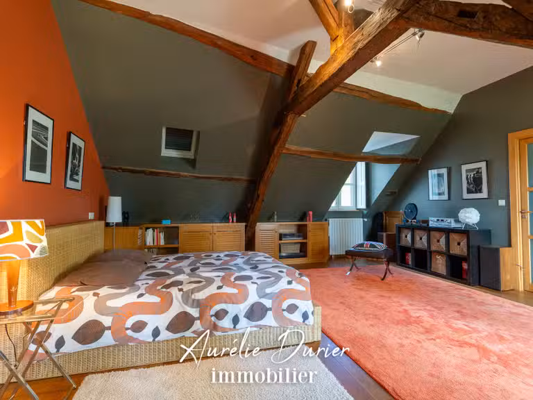 Maison Fondettes - 7 chambres - 620m²