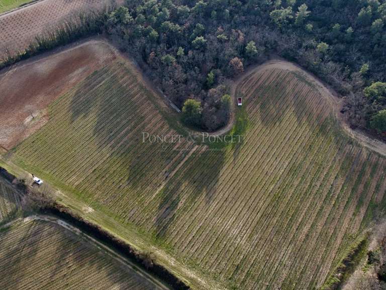 House Fons - 4 bedrooms - 350m²