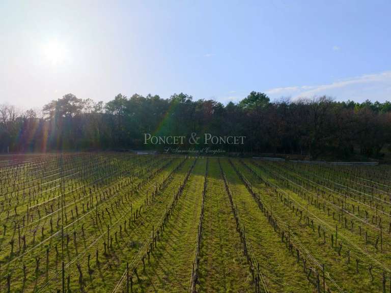 House Fons - 4 bedrooms - 350m²