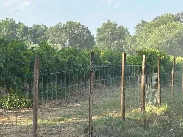 House Fons - 4 bedrooms - 350m²