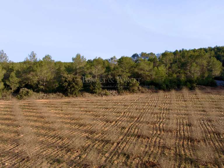 House Fons - 4 bedrooms - 350m²