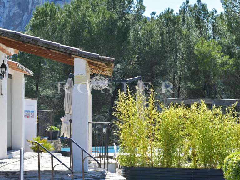 Villa Fontaine-de-Vaucluse - 15 chambres - 386m²