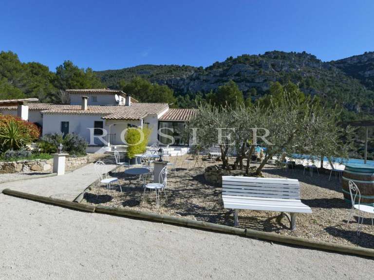 Villa Fontaine-de-Vaucluse - 15 chambres - 386m²