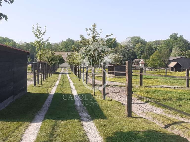 Maison Fontenay-lès-Briis - 6 chambres - 360m²