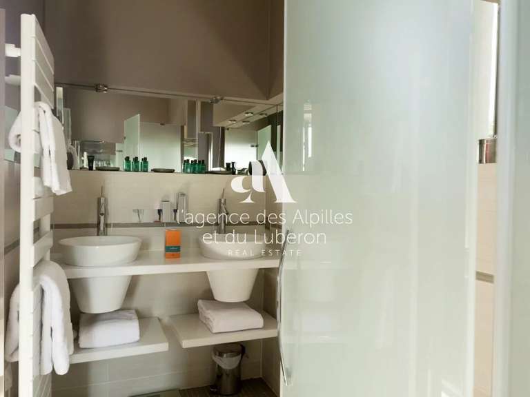 Maison Fontvieille - 8 chambres - 13000m²