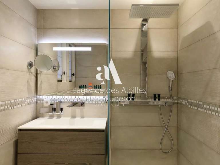 Maison Fontvieille - 8 chambres - 13000m²