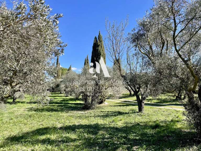 Maison Fontvieille - 170m²