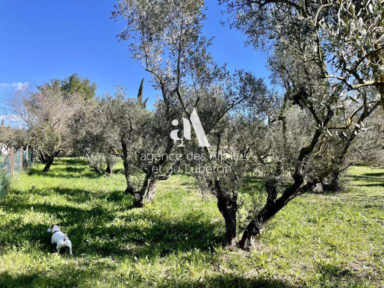 Maison Fontvieille - 170m²