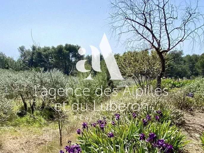 Maison Fontvieille - 2 chambres - 90m²