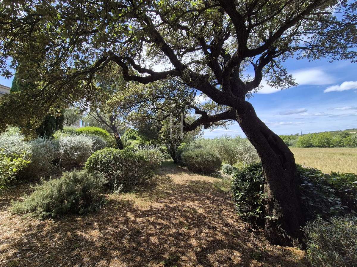 House Fontvieille