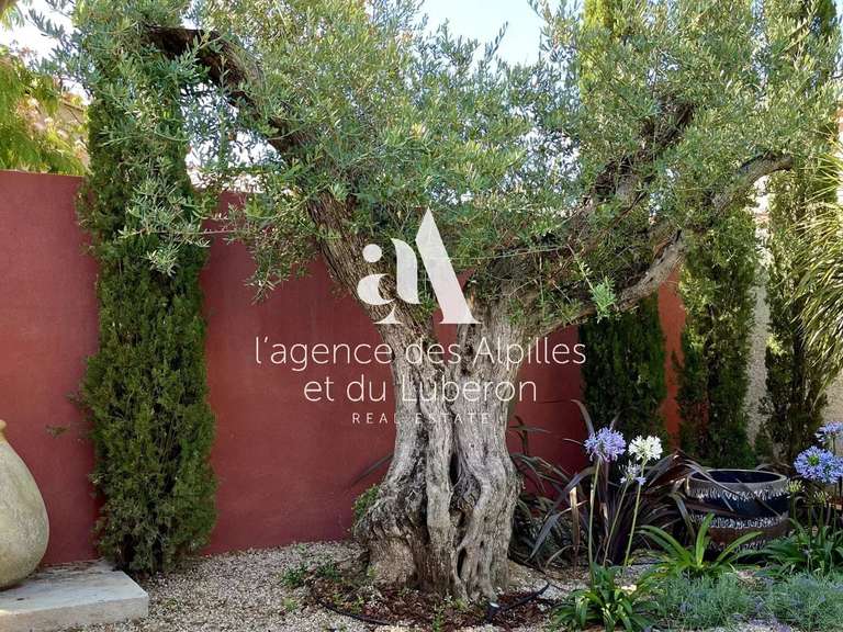 Maison Fontvieille - 3 chambres - 160m²