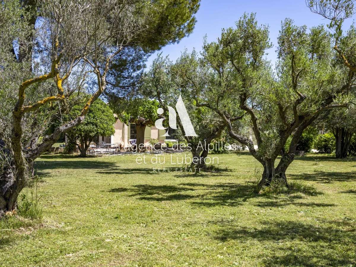 Maison Fontvieille