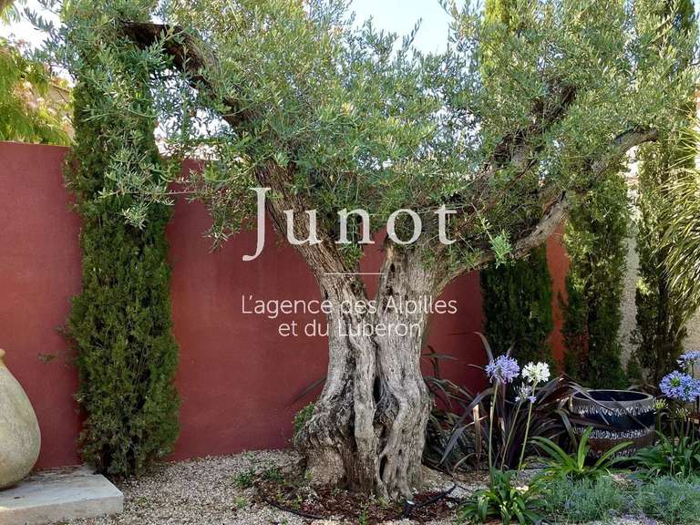Maison Fontvieille - 3 chambres - 155m²