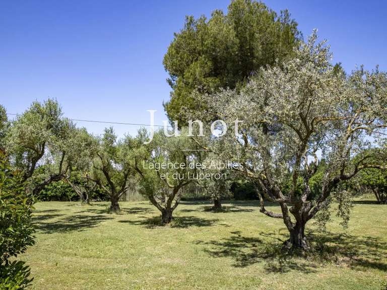 Maison Fontvieille - 3 chambres - 165m²
