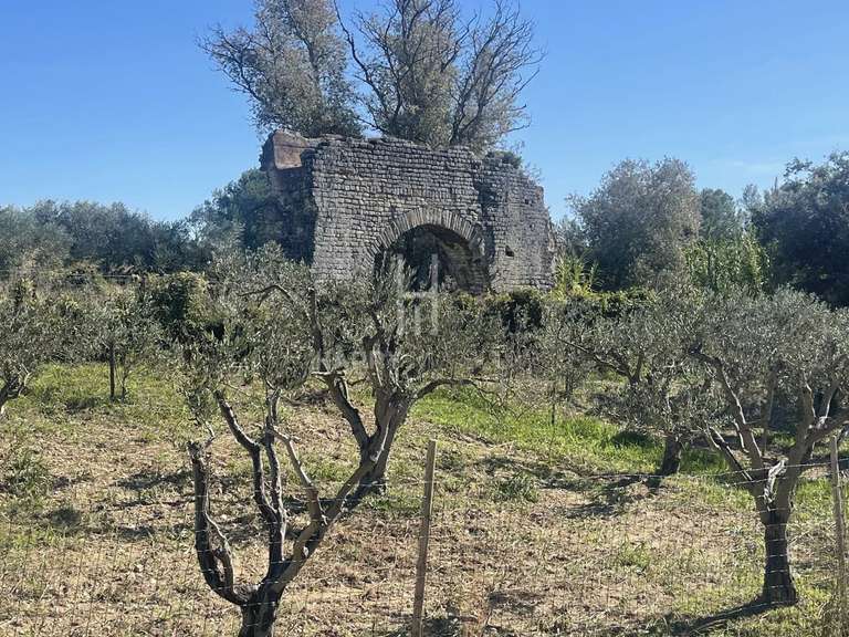 Maison Fontvieille - 4 chambres - 220m²