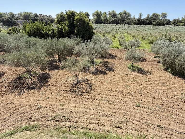 Maison Fontvieille - 4 chambres - 220m²