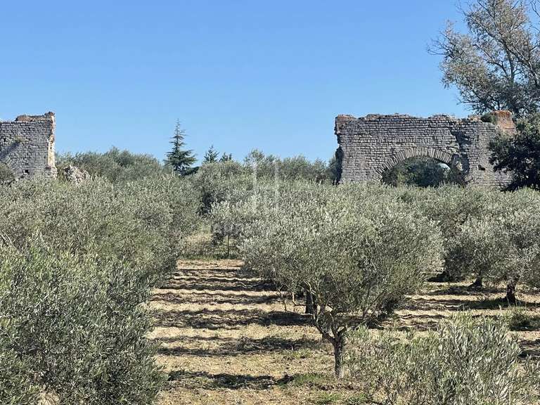 Maison Fontvieille - 4 chambres - 220m²